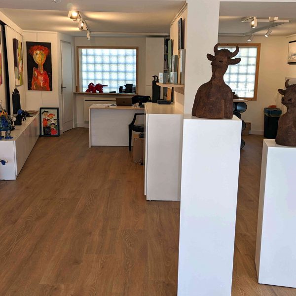 Agencement magasin professionnel